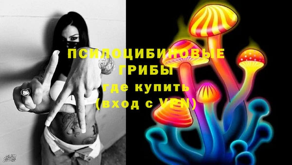 твердый Аркадак