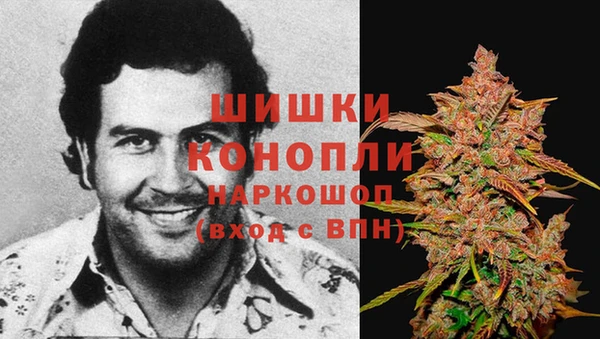 твердый Аркадак
