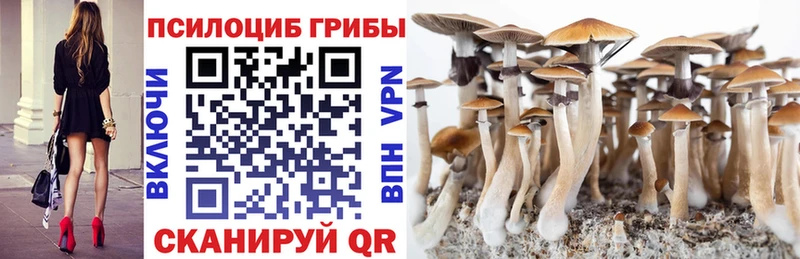 Псилоцибиновые грибы ЛСД  Чапаевск 